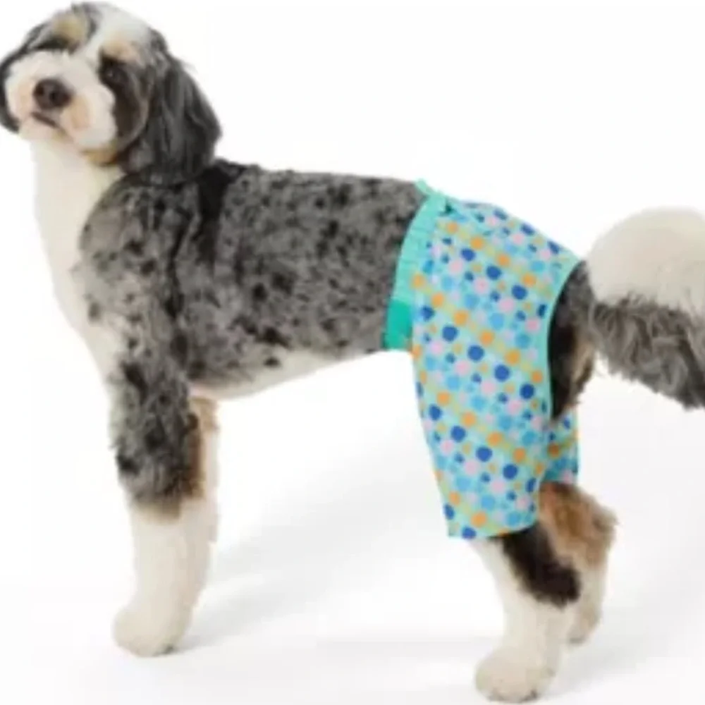NEW Top Paw Seashell Dog Shorts Trunks XL